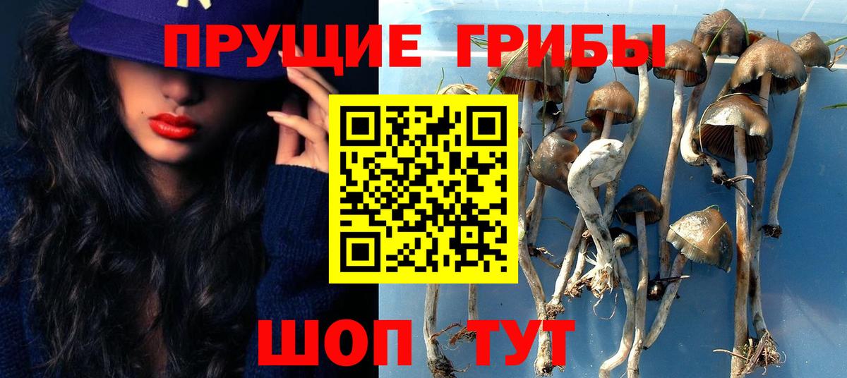 Псилоцибиновые грибы Psilocybe  Галлюциногенные грибы Psilocybine cubensis  Вход с VPN  Егорьевск 