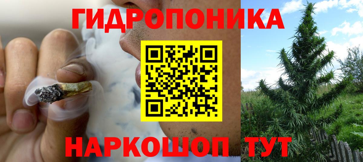 Канабис ГИДРОПОН Егорьевск